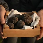 Panorama Del Tartufo By Interhome Вилла