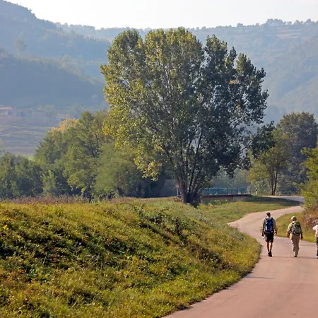 Panorama Del Tartufo By Interhome Motovun