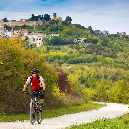 Vila Panorama Del Tartufo By Interhome *